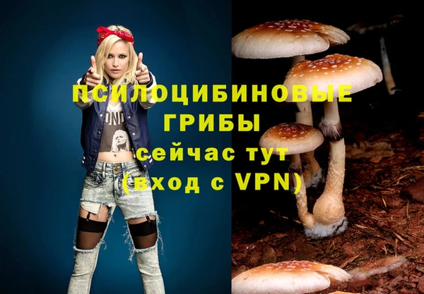 не бодяженный Беломорск