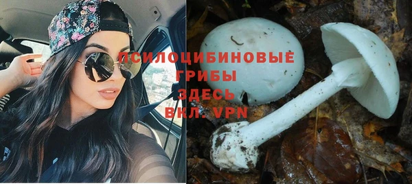 гидропоника Белоозёрский