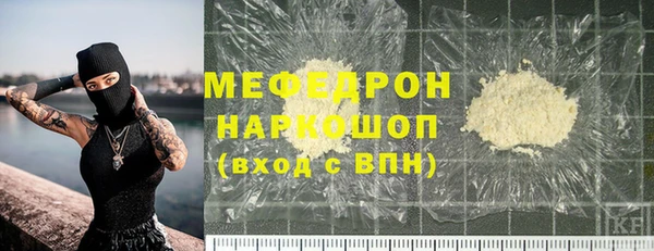 сатива Белокуриха