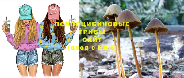 не бодяженный Беломорск
