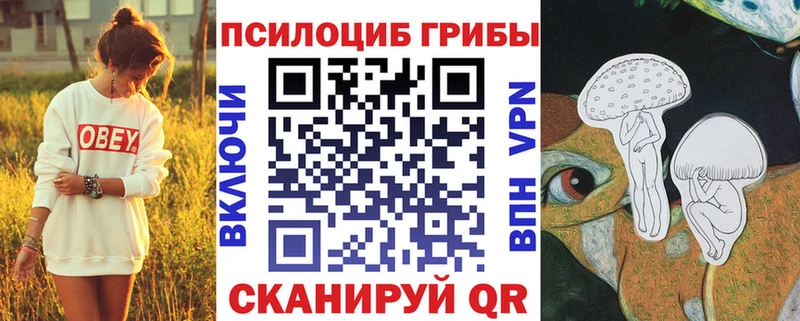 Галлюциногенные грибы MAGIC MUSHROOMS  MEGA ссылка  Куртамыш 