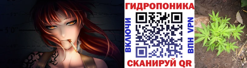 Шишки марихуана гибрид Куртамыш